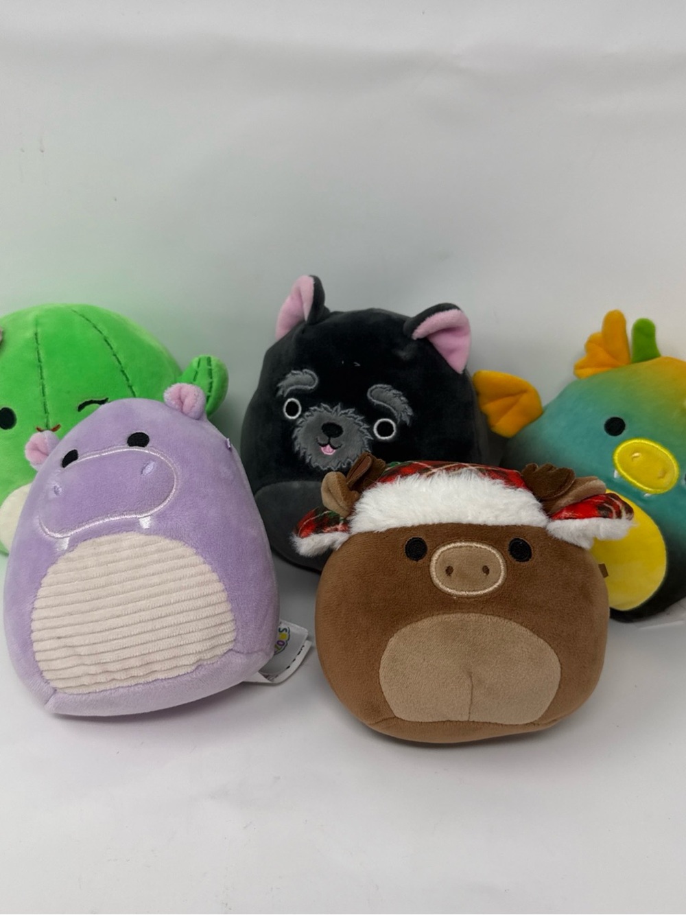Squishmallows Lot of 5 assorted Friends 5-8 Inch Plush